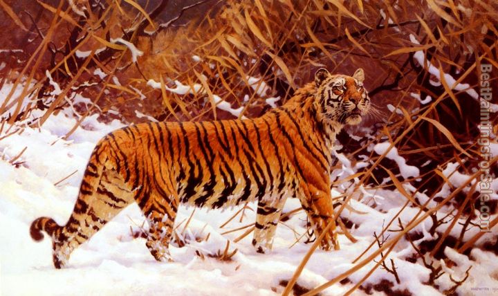 Hugo Ungewitter Paintings for sale